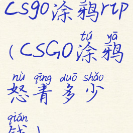 csgo涂鸦rip(CSGO涂鸦怒青多少钱)