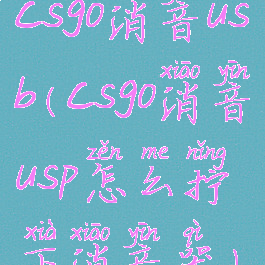 csgo消音usb(csgo消音usp怎么拧下消音器)