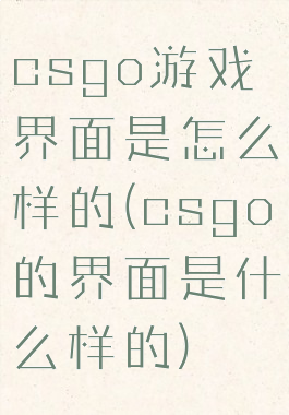 csgo游戏界面是怎么样的(csgo的界面是什么样的)