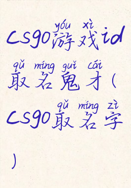 csgo游戏id取名鬼才(csgo取名字)