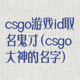 csgo游戏id取名鬼才(csgo大神的名字)