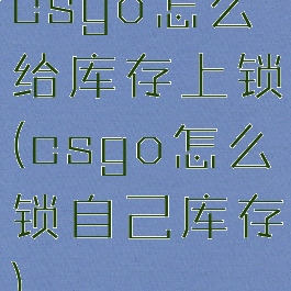 csgo怎么给库存上锁(csgo怎么锁自己库存)