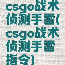 csgo战术侦测手雷(csgo战术侦测手雷指令)