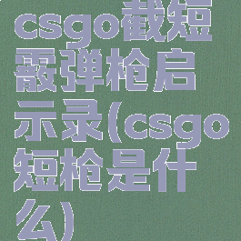 csgo截短霰弹枪启示录(csgo短枪是什么)