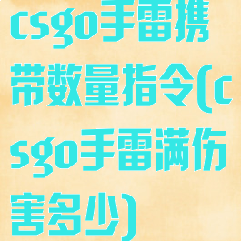 csgo手雷携带数量指令(csgo手雷满伤害多少)