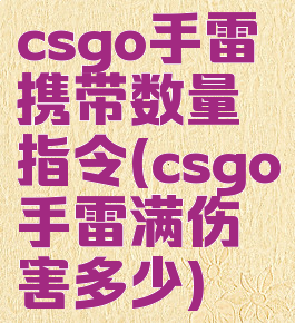 csgo手雷携带数量指令(csgo手雷满伤害多少)