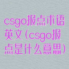 csgo报点术语英文(csgo报点是什么意思)