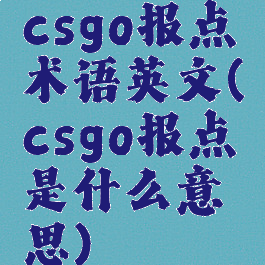 csgo报点术语英文(csgo报点是什么意思)