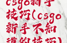 csgo新手技巧(csgo新手不知道的技巧)