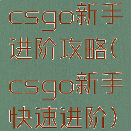 csgo新手进阶攻略(csgo新手快速进阶)