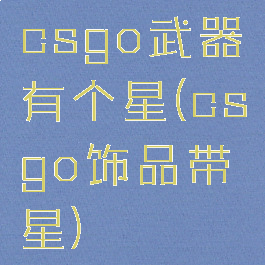 csgo武器有个星(csgo饰品带星)