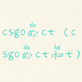 csgo的ct(csgo的ct和t)