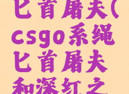 csgo系绳匕首屠夫(csgo系绳匕首屠夫和深红之网)