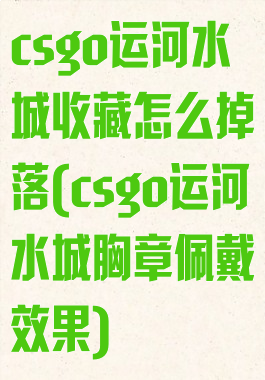 csgo运河水城收藏怎么掉落(csgo运河水城胸章佩戴效果)