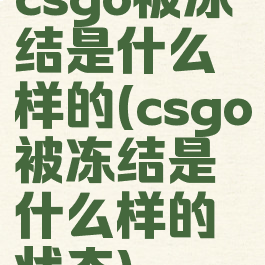 csgo被冻结是什么样的(csgo被冻结是什么样的状态)