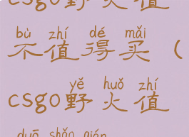 csgo野火值不值得买(csgo野火值多少钱)