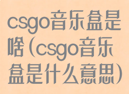 csgo音乐盒是啥(csgo音乐盒是什么意思)