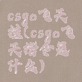 csgo飞天挂(csgo飞天指令是什么)