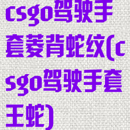 csgo驾驶手套菱背蛇纹(csgo驾驶手套王蛇)