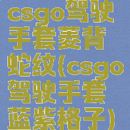 csgo驾驶手套菱背蛇纹(csgo驾驶手套蓝紫格子)