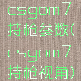 csgom7持枪参数(csgom7持枪视角)