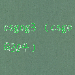 csgog3(csgoG304)
