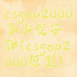 csgop2000多少发子弹(csgop2000原型)