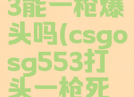 csgosg553能一枪爆头吗(csgosg553打头一枪死不)