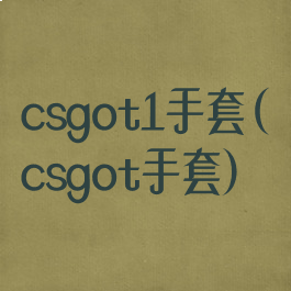 csgot1手套(csgot手套)