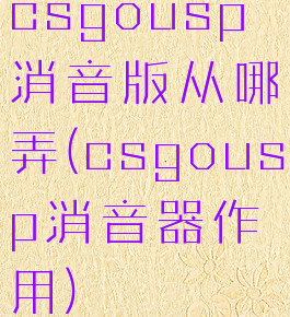 csgousp消音版从哪弄(csgousp消音器作用)