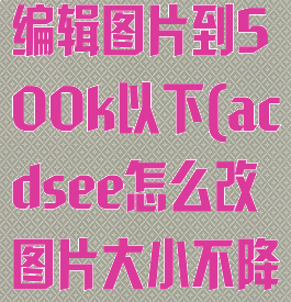 acdsee怎么编辑图片到500k以下(acdsee怎么改图片大小不降低像素)