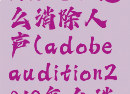 adobeaudition3.0怎么消除人声(adobeaudition2018怎么消除人声)