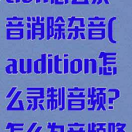 adobeaudition怎么录音消除杂音(audition怎么录制音频?怎么为音频降噪?)