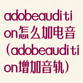 adobeaudition怎么加电音(adobeaudition增加音轨)