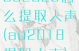 au2020怎么提取人声(au2018提取人声)