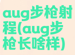 aug步枪射程(aug步枪长啥样)