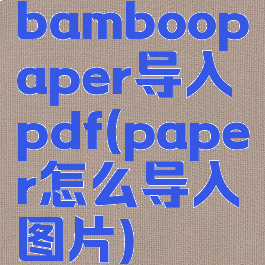 bamboopaper导入pdf(paper怎么导入图片)