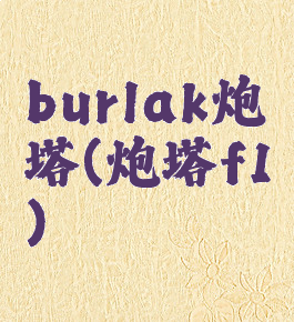 burlak炮塔(炮塔f1)
