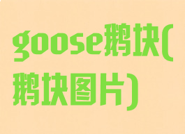 goose鹅块(鹅块图片)