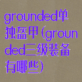 grounded单独盔甲(grounded三级装备有哪些)