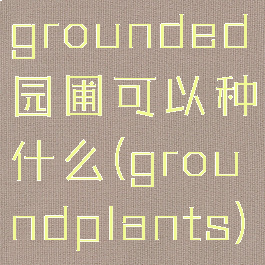 grounded园圃可以种什么(groundplants)