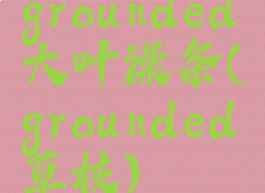 grounded大叶澡条(grounded草枝)