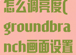 grounded怎么调亮度(groundbranch画面设置)