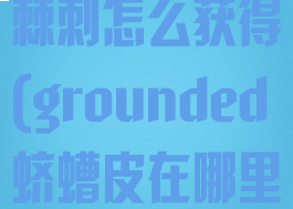 grounded棘刺怎么获得(grounded蛴螬皮在哪里)