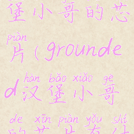 grounded汉堡小哥的芯片(grounded汉堡小哥的芯片有什么用)