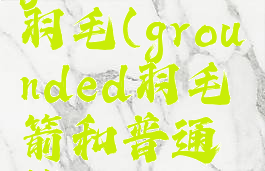 grounded羽毛(grounded羽毛箭和普通箭)