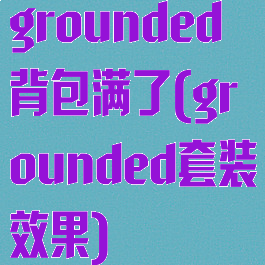 grounded背包满了(grounded套装效果)