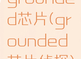 grounded芯片(grounded芯片侦探)