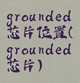 grounded芯片位置(grounded芯片)