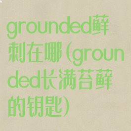 grounded藓刺在哪(grounded长满苔藓的钥匙)